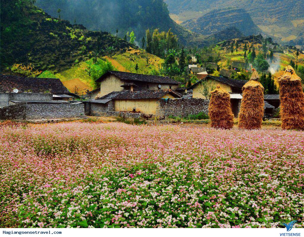 Thung lũng Sủng Là – Đồng Văn