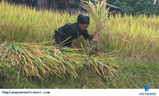 Thưởng thức trà trong biển mây giữa cảnh núi Hà Giang - Ảnh 6