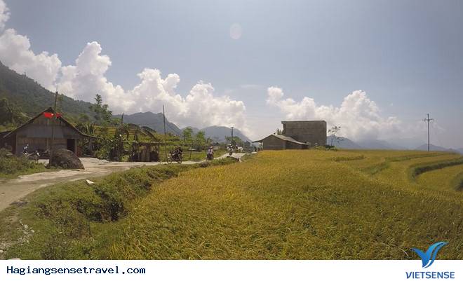 Thưởng thức trà trong biển mây giữa cảnh núi Hà Giang - Ảnh 5