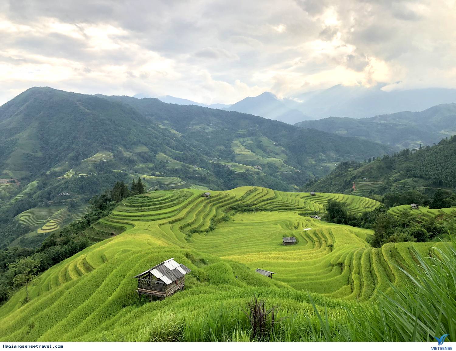 DU NGOẠN HOÀNG SU PHÌ MÙA LÚA CHÍN - Ảnh 1 DU NGOẠN HOÀNG SU PHÌ MÙA LÚA CHÍN - Ảnh 1