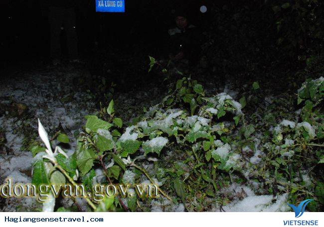 Tuyết Rơi Ở Đồng Văn - Ảnh 8