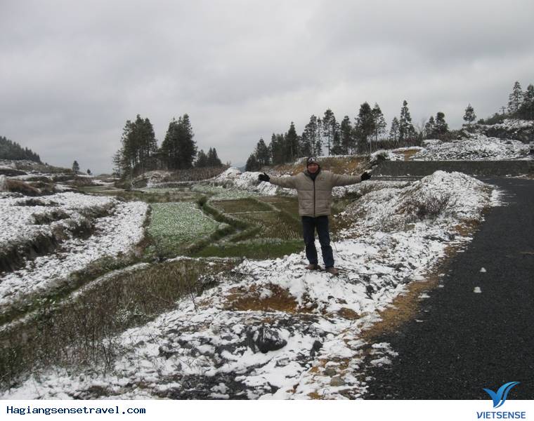 Tuyết Rơi Phủ Trắng Mèo Vạc - Hà Giang - Ảnh 1