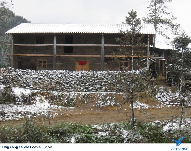 Tuyết Rơi Phủ Trắng Mèo Vạc - Hà Giang - Ảnh 5