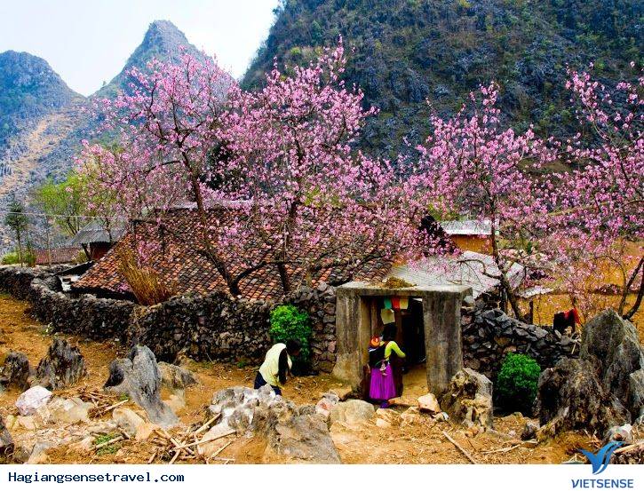 Vẻ đẹp Hà Giang trên cao nguyên đá - Ảnh 3