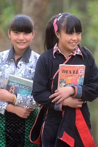 Vẻ Đẹp Những Bông Hoa Núi Rừng Trên Cao Nguyên Đá - Ảnh 9 Vẻ Đẹp Những Bông Hoa Núi Rừng Trên Cao Nguyên Đá - Ảnh 9