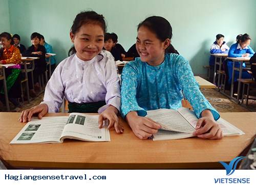 Vẻ Đẹp Những Bông Hoa Núi Rừng Trên Cao Nguyên Đá - Ảnh 2 Vẻ Đẹp Những Bông Hoa Núi Rừng Trên Cao Nguyên Đá - Ảnh 2