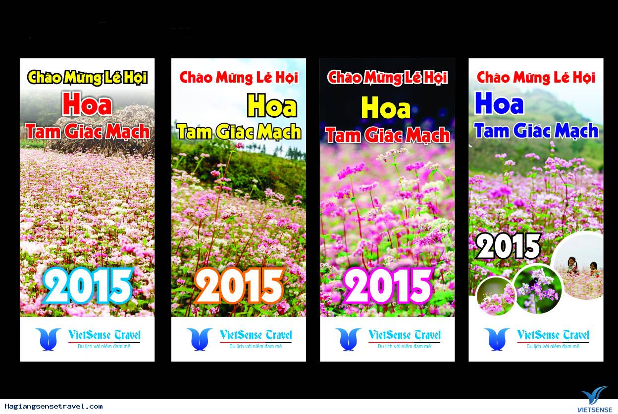 VietsenseTravel đồng hành cùng lễ hội hoa tam giác mạch