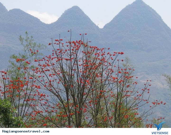 Yên Minh - Thảo Nguyên Xanh Mát - Ảnh 3 Yên Minh - Thảo Nguyên Xanh Mát - Ảnh 3