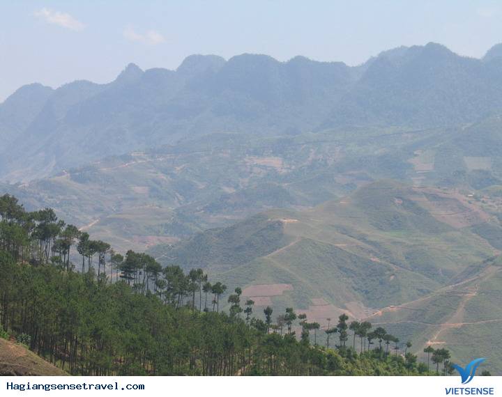 Yên Minh - Thảo Nguyên Xanh Mát - Ảnh 4 Yên Minh - Thảo Nguyên Xanh Mát - Ảnh 4